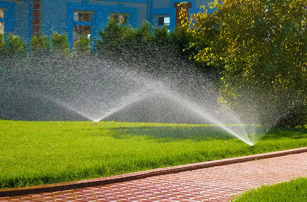 sprinklers going off in a garden