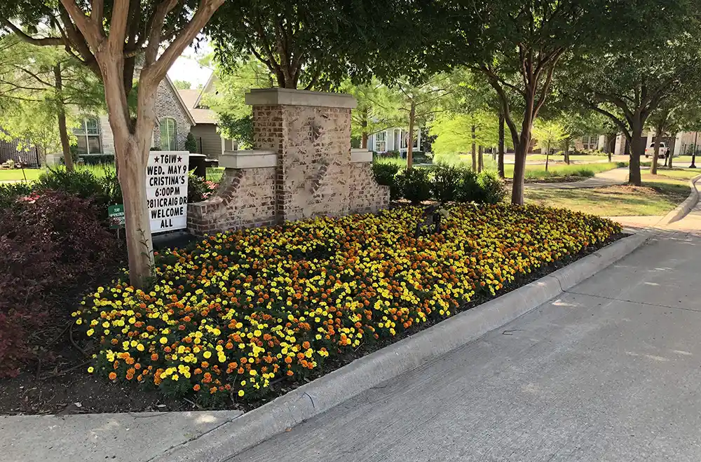 a flower bed with a concrete structure in the middle